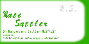 mate sattler business card